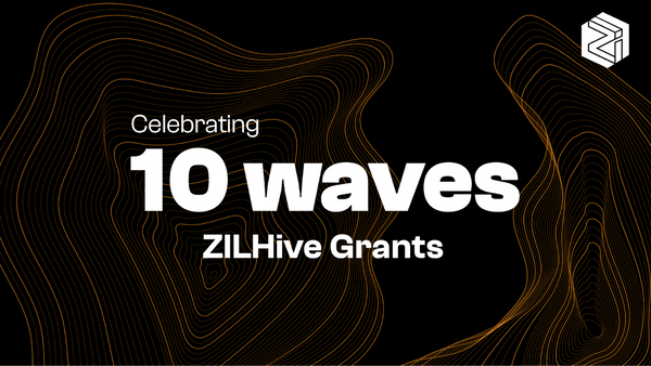 Celebrating 10 waves of ZILHive Grants awardees!